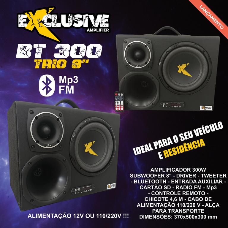 BT 300 TRIO 8_page-0001 (1).jpg